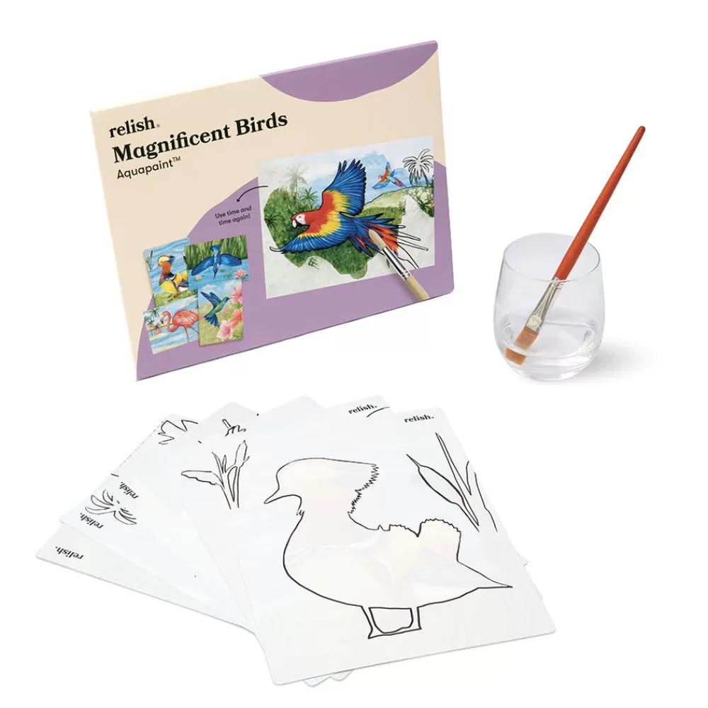 HOPTOYS ReÉducation Cognitive, Troubles Neurologiques<Aquapaint Oiseaux Magnifiques