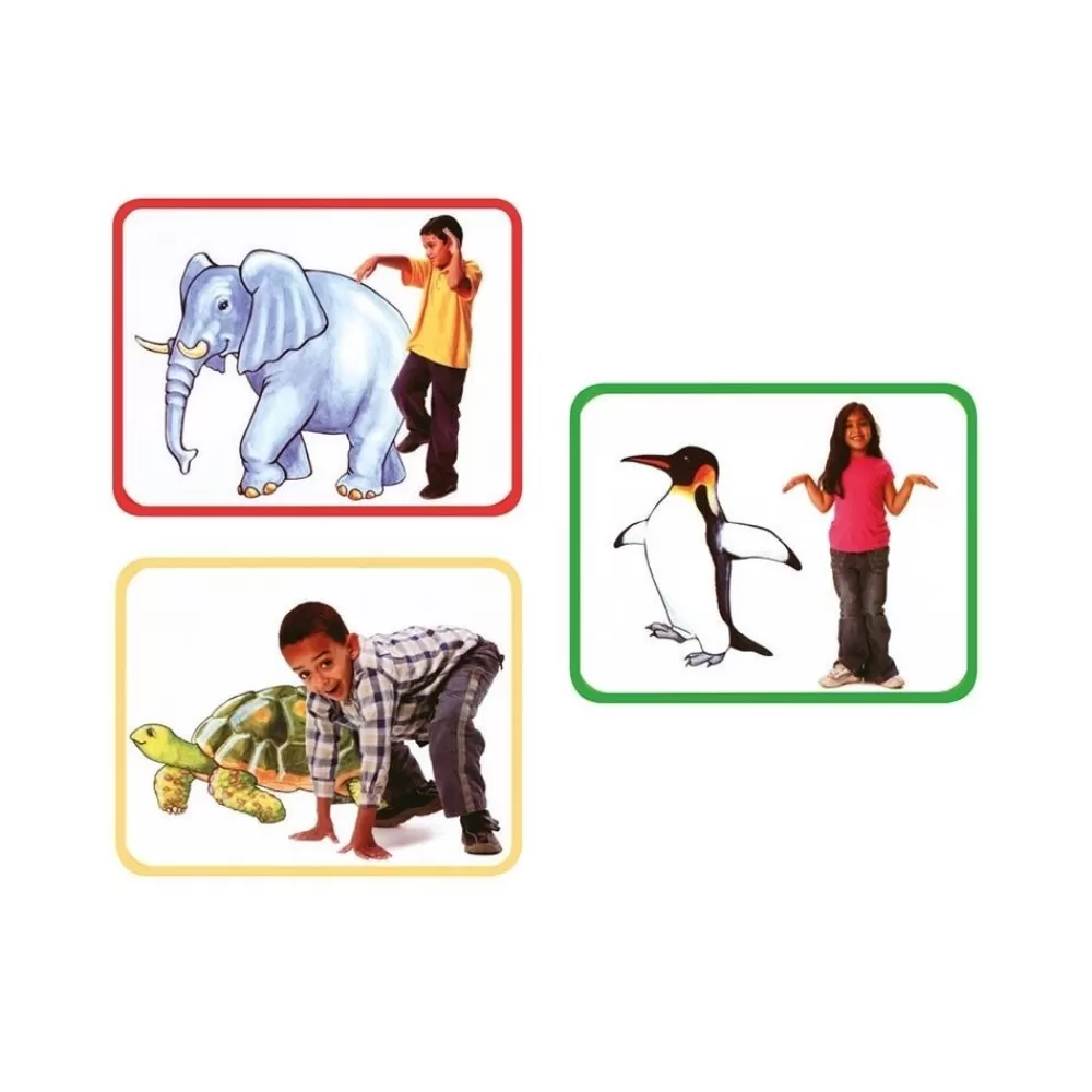 HOPTOYS Dyspraxie*Cartes Yoga - Les Animaux