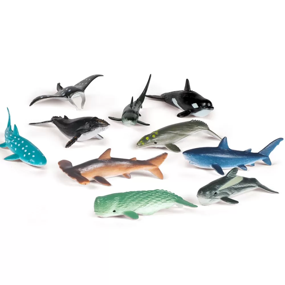 HOPTOYS Imagiers & Jeux De Langage<Compteurs Creatures Des Oceans