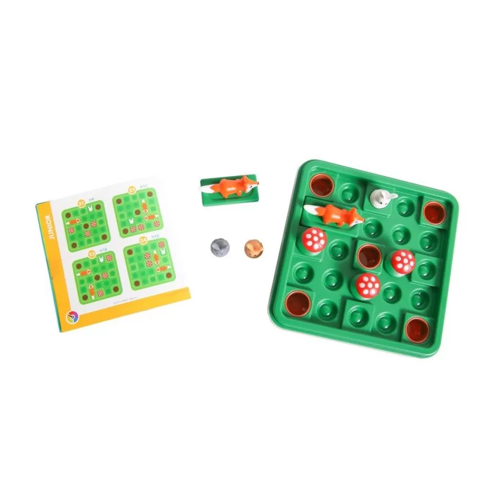 HOPTOYS Raisonnement Logico-Mathematique<Lievres & Renards